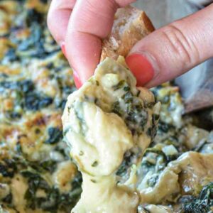 raspberry chocolate chip nice cream