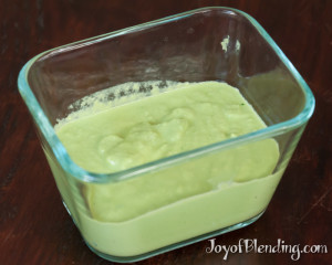 RFD Vitamix Dressing
