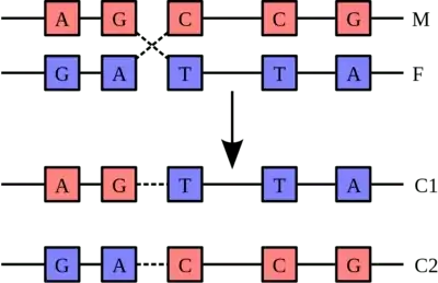 eQ19 Project | GitHub