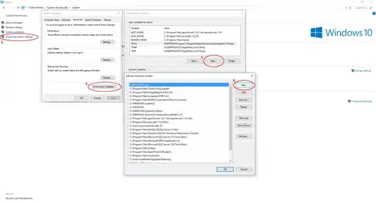 Setting the environmental variable