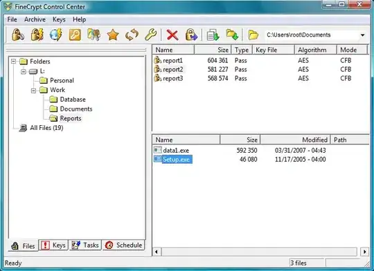 cats on the internet