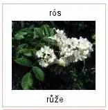 File upload button in Swagger