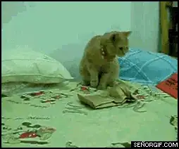 Tree after deleting the feature branch