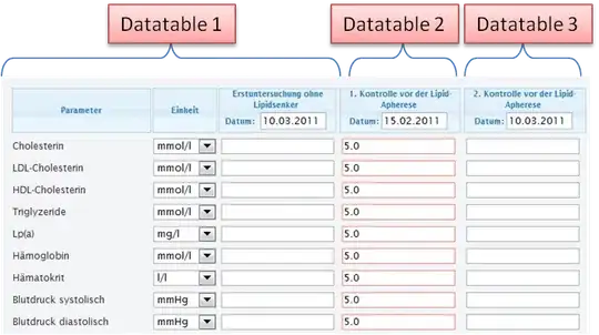 IE Black border error pic