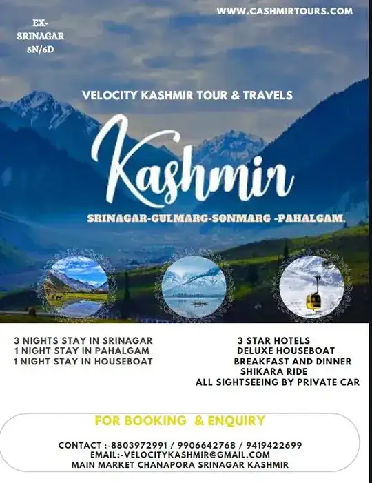 Velocity Kashmir Tour and Travels