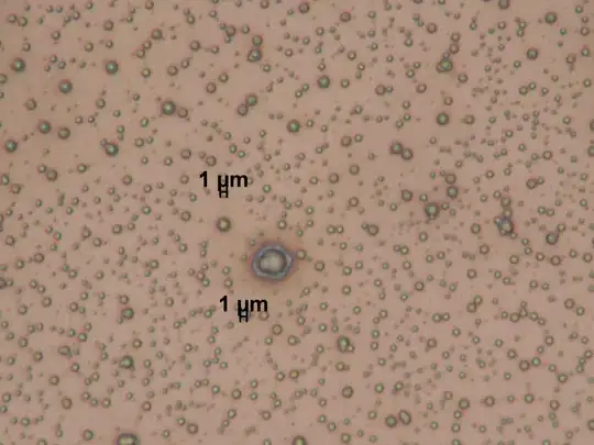 Feisty, 1-round, 20k