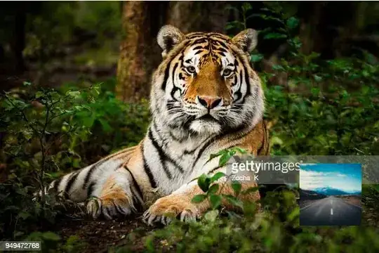 data_Xception = pd.concat([data_Covid,data_Normal,data_Pneumonia],axis = 1)