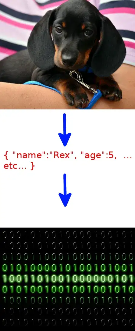 Rex, my dog, is serialised!