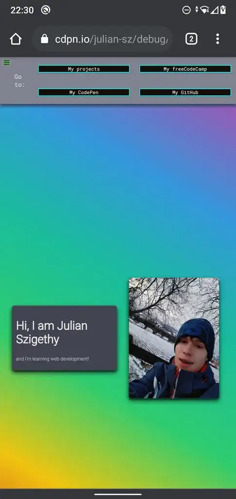 The website opened on Chrome for Android