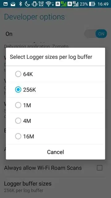Developer Options ScreenShot