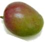 Picture of a mango