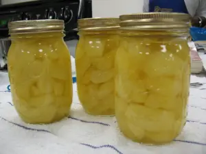 Canned Apples
