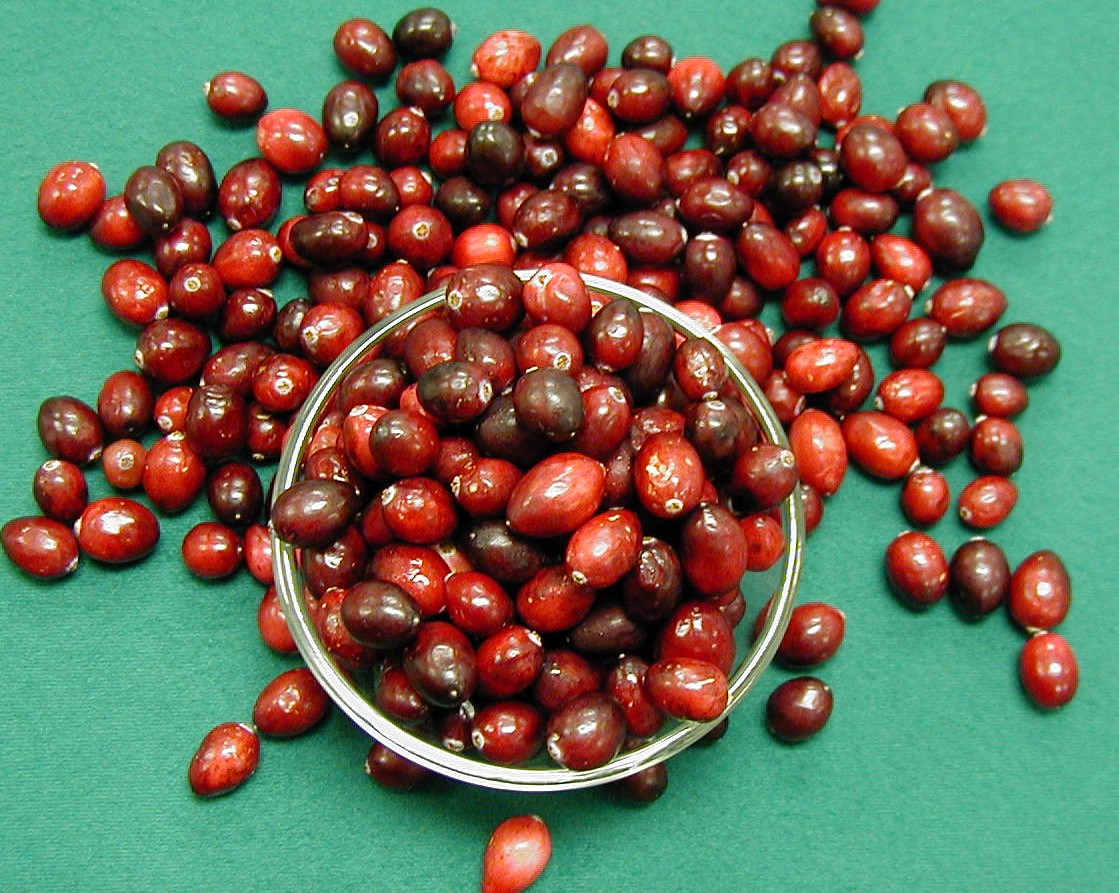 Lovely Cranberries