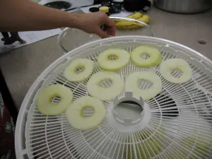 Placing Apple Slices onto Dehydrator Tray