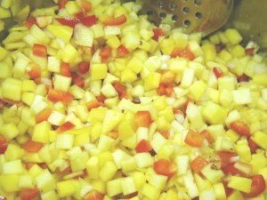 Mango Salsa Raw Mix