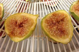 Dried green figs
