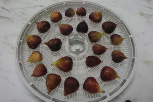 Fresh fig halves on dryer tray