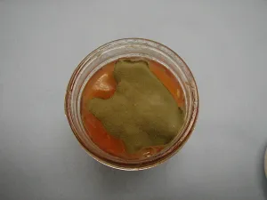Mold on Jam