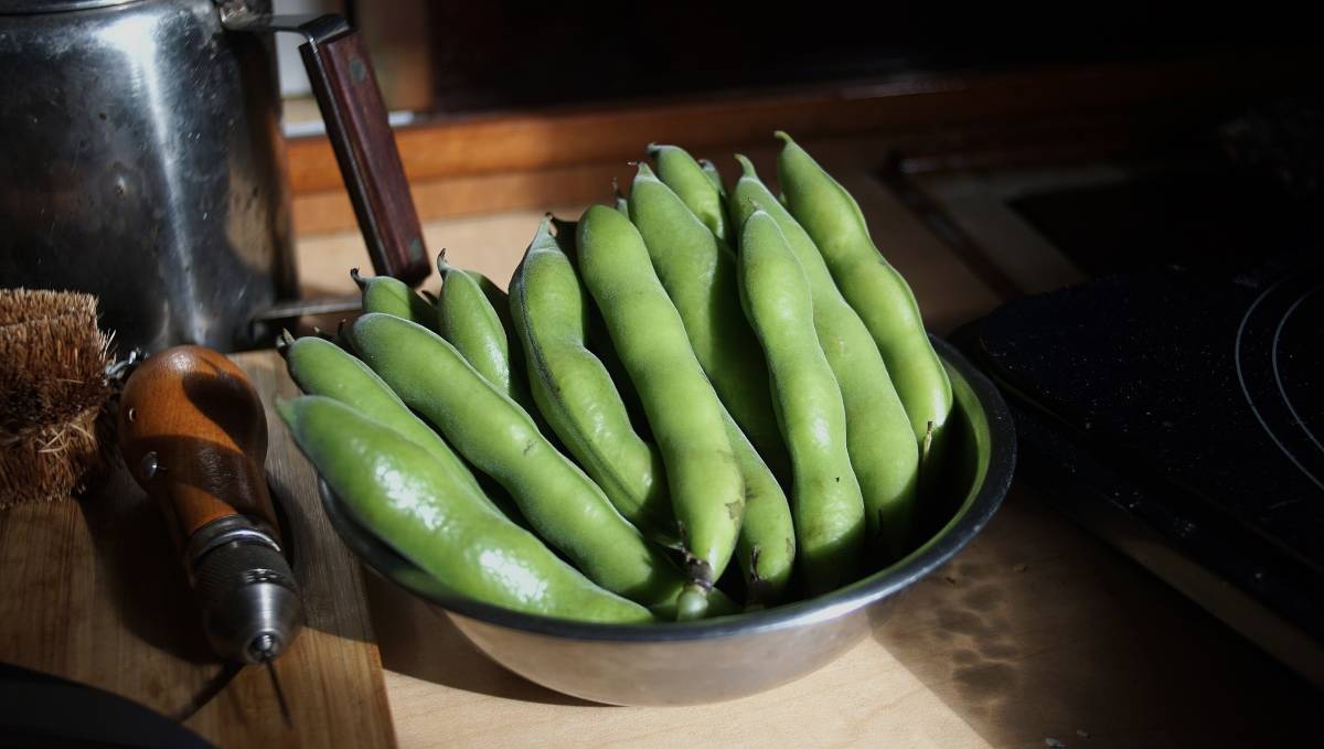 a bowl containing soramame
