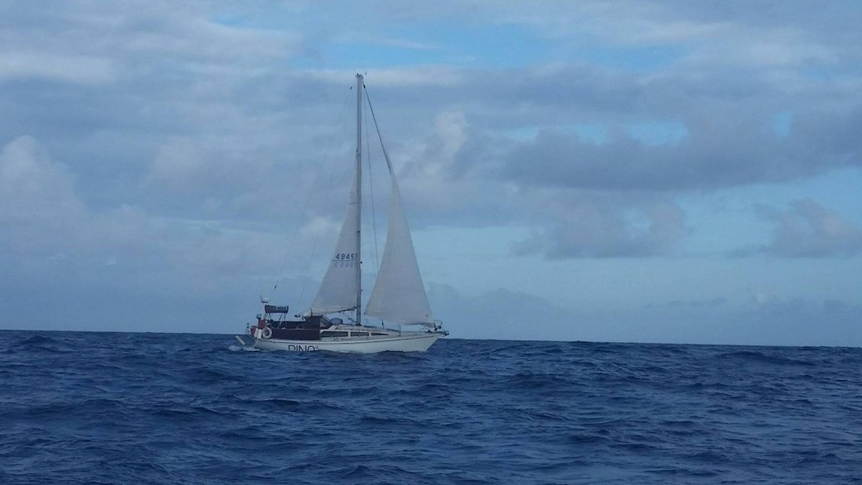 pino on the ocean as seen from Maestral