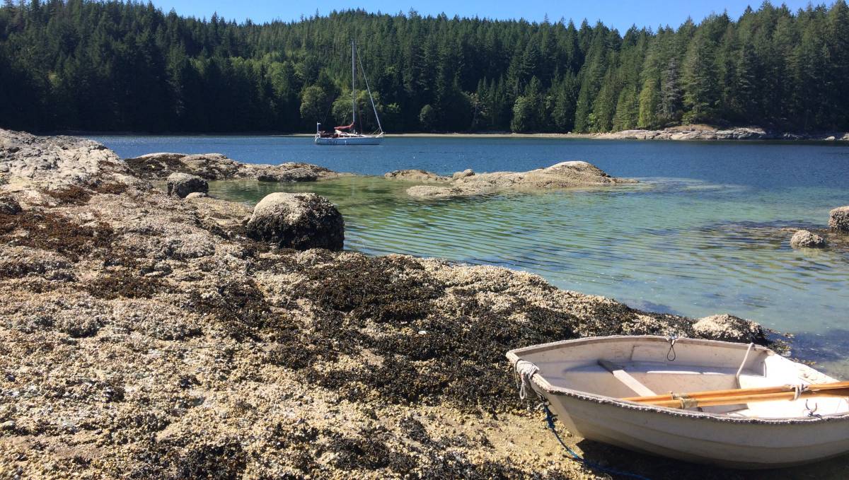 pino anchored in the octopus islands
