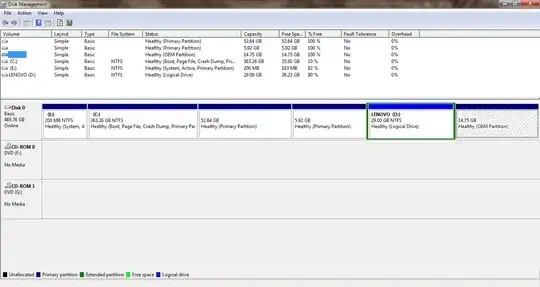 Windows disk management screen shot