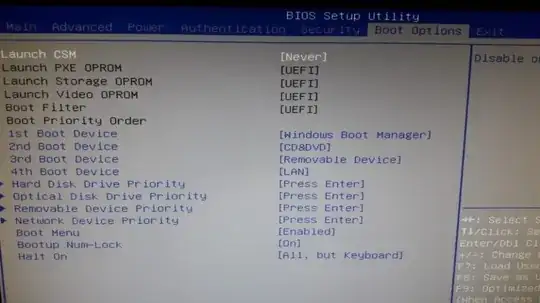 Boot Option