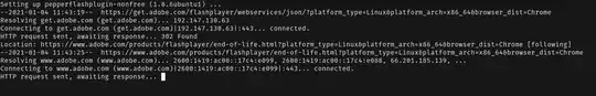 terminal output