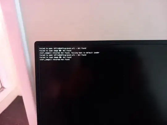 photo of boot fail message