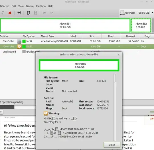 GParted status of USB