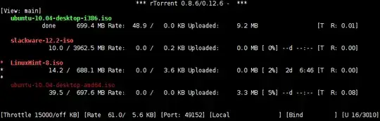 rTorrent screenshot