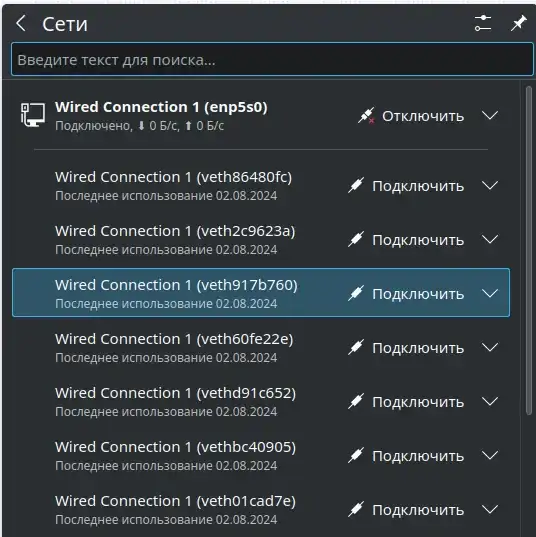 Tray Network Manager showing duplicated connections