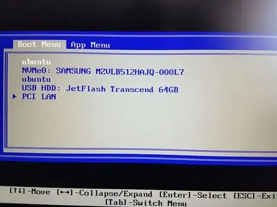 Screenshot: Boot menu