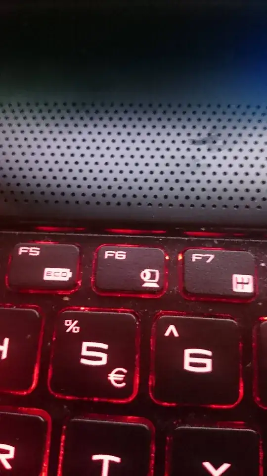 Photo of an MSI WS-60 Keyboard's Web Camera Function Key