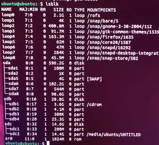 Photo of lsblk results