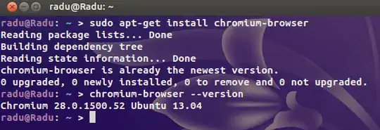 terminal - chromium install
