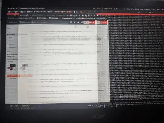 image of my screen looks like this