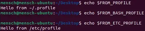 Output the defined environment variables to the terminal window