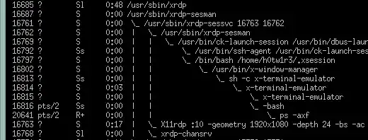 good xrdp session process