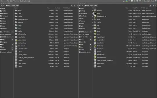on the left the linux partition on the SD-Card, on the right the mounted image