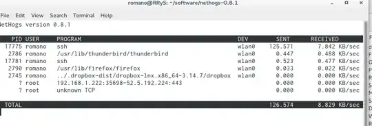 example of nethogs running