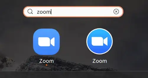 Dual Zoom installs