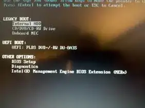 Screenshot of a boot device selection showing UEFI options