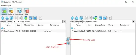copy between host and guest