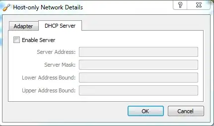 VirtualBox Host-only adapter - DHCP Server disabled