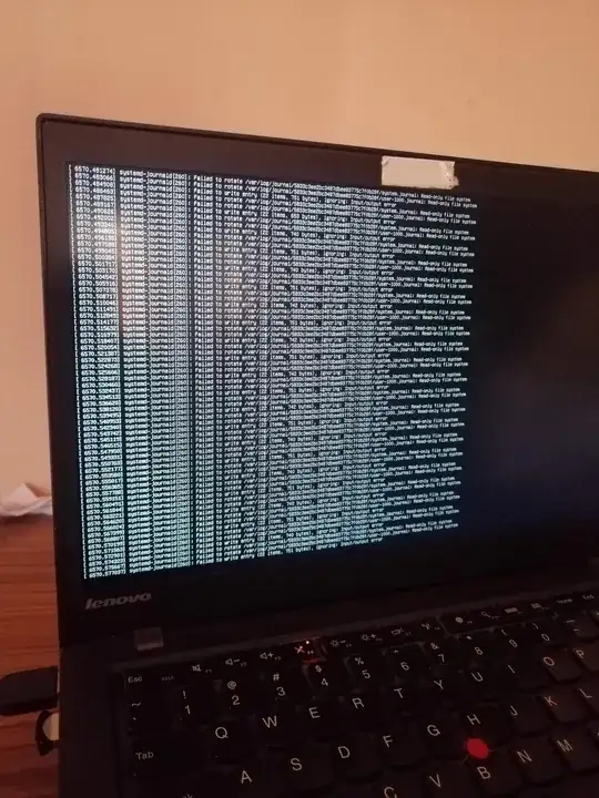 terminal-like screen after crash from trying to wake from suspend