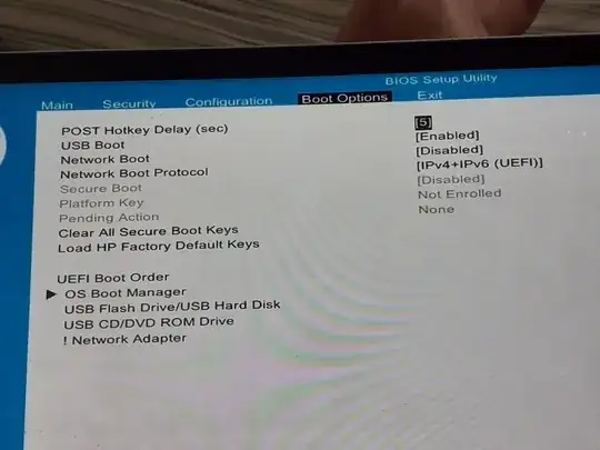 BIOS Boot Options (shows that Secure Boot is off)