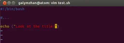 galymzhan@atom: vim