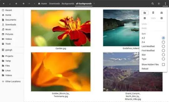 Nautilus with larger thumbnails icons