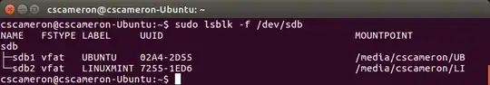 sudo lsblk -f /dev/sdb